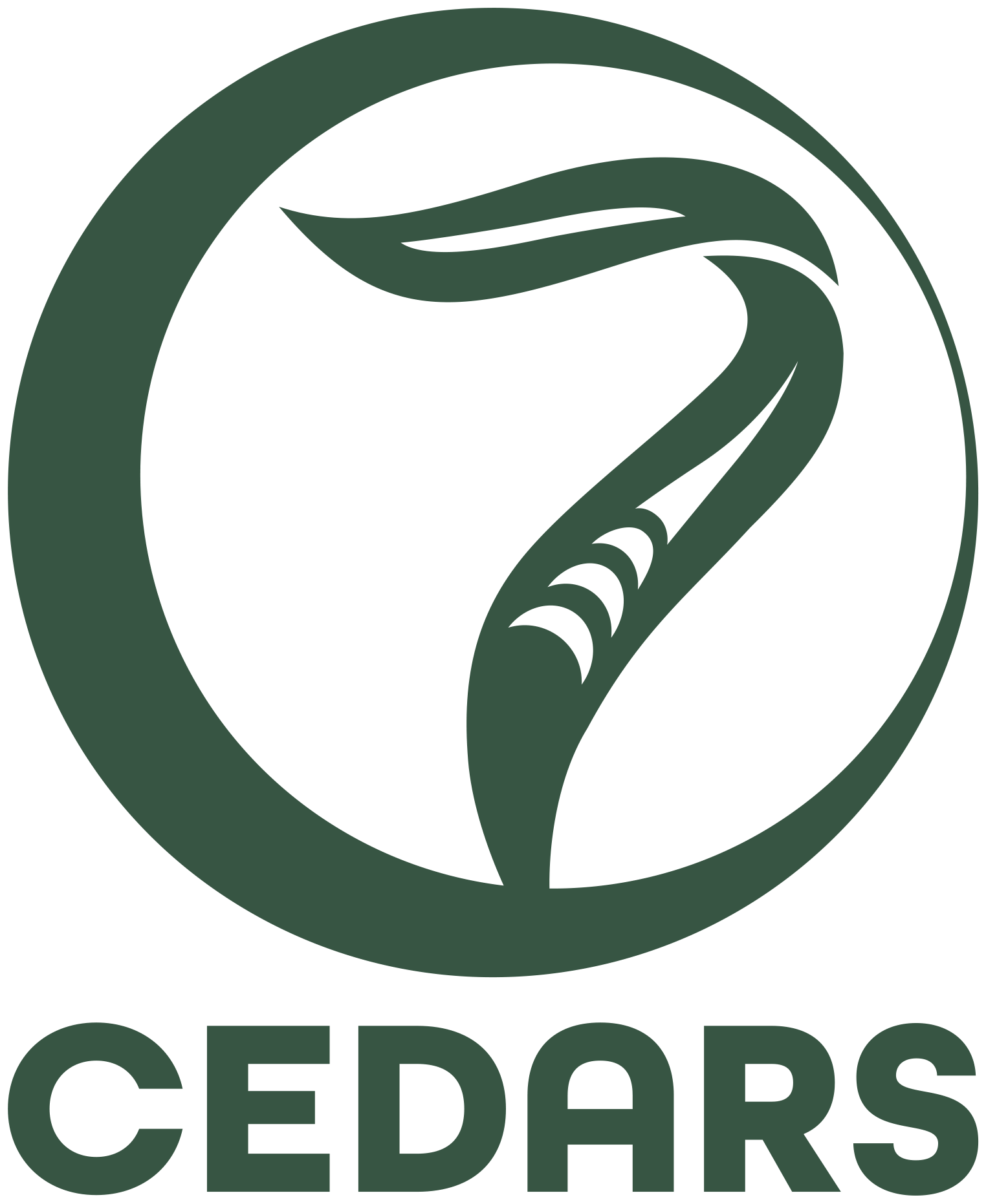 7 CEDARS