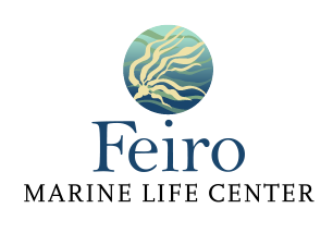 Logo reading Feiro Marine life Center