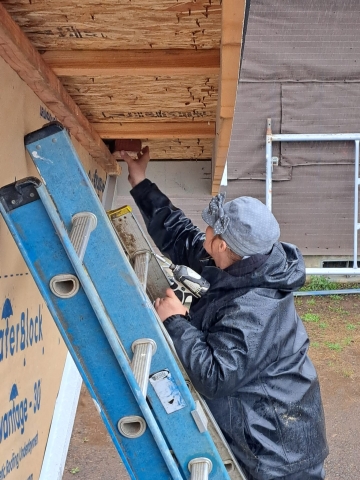 Woman standing on a ladder helping build a house