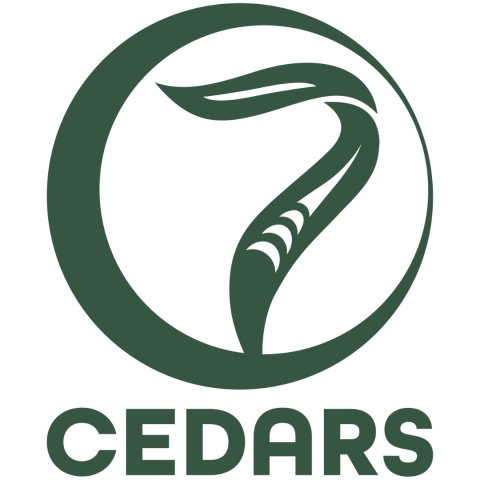 7 Cedars