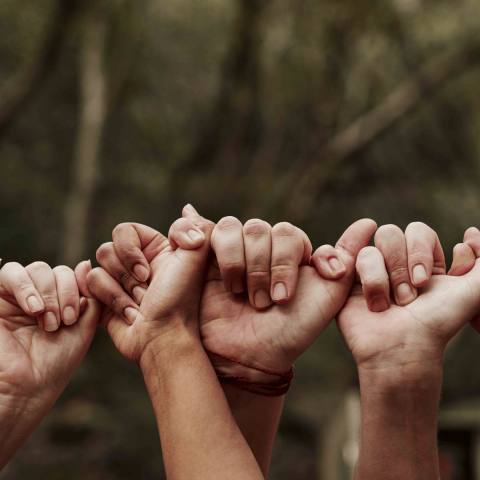 series of clasped hands