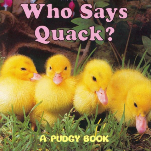 Book cover for Who Says Quack