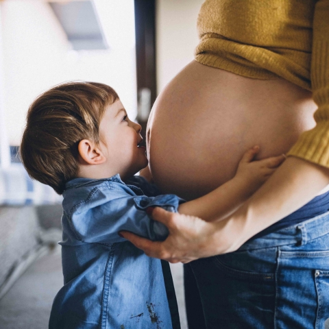 Toddler hugger pregnant mom's belly
